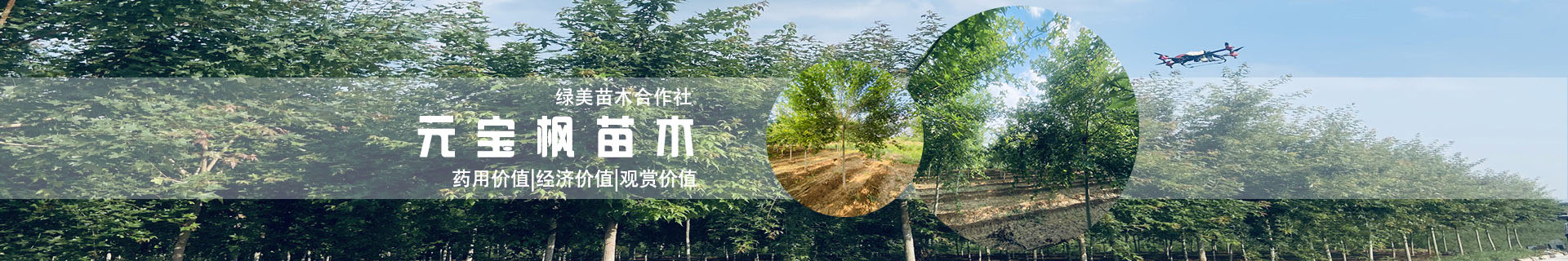 新聞動態 新聞動態